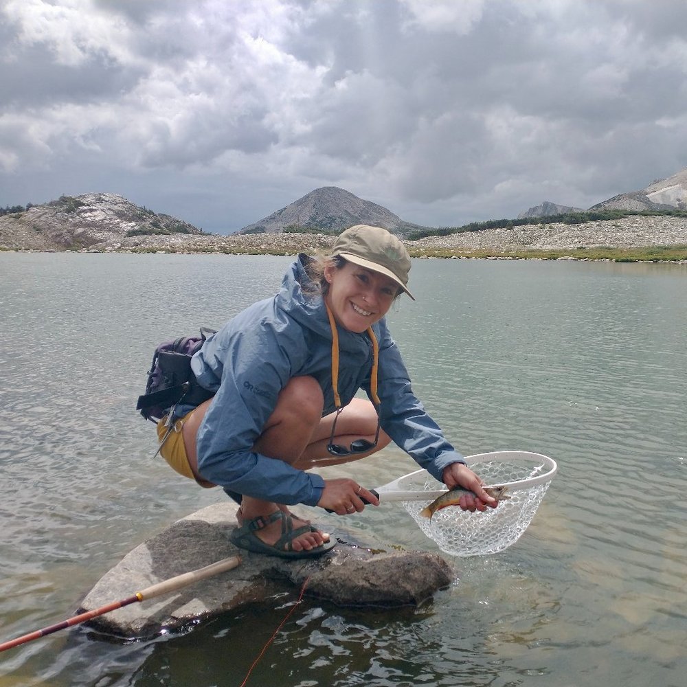 Meet your Posher, Ally